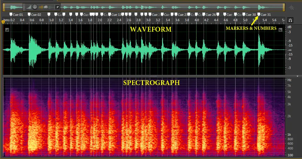 Audio waveform and spectrogram with numbered cue markers.